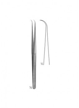 Forceps